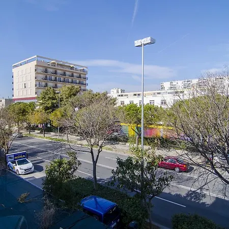 Music School * Split